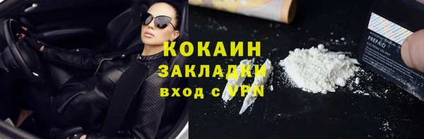 МДПВ Пересвет