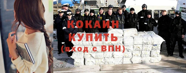 МДПВ Пересвет