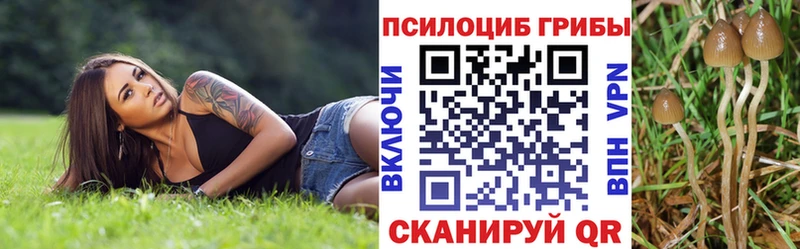 где продают наркотики  Ленинск-Кузнецкий  Псилоцибиновые грибы Psilocybine cubensis 