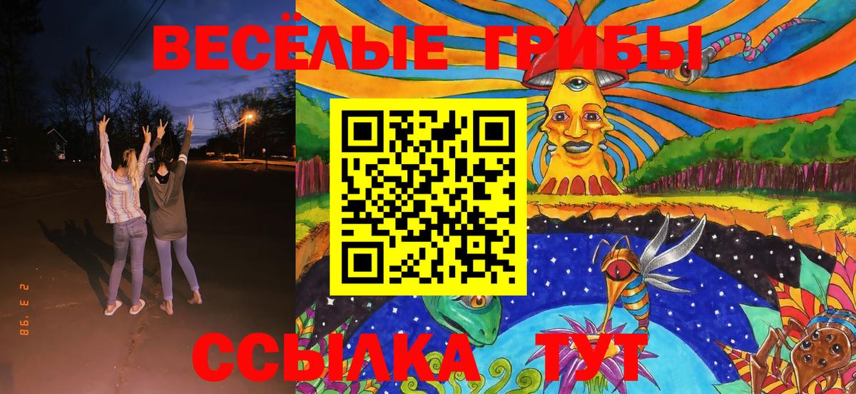 Псилоцибиновые грибы Cubensis  Вход с VPN  Галлюциногенные грибы Psilocybe  Ленинск-Кузнецкий 